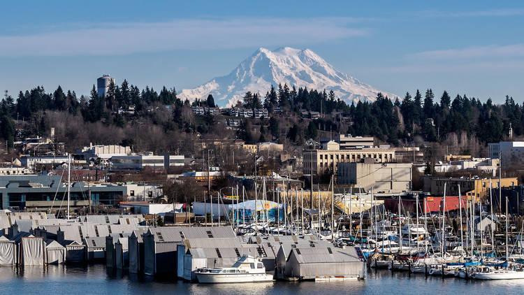 Moving to Olympia, WA: 2024 Relocation Guide | moveBuddha