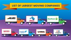 These Are The Largest Moving Companies In The Country | MoveBuddha