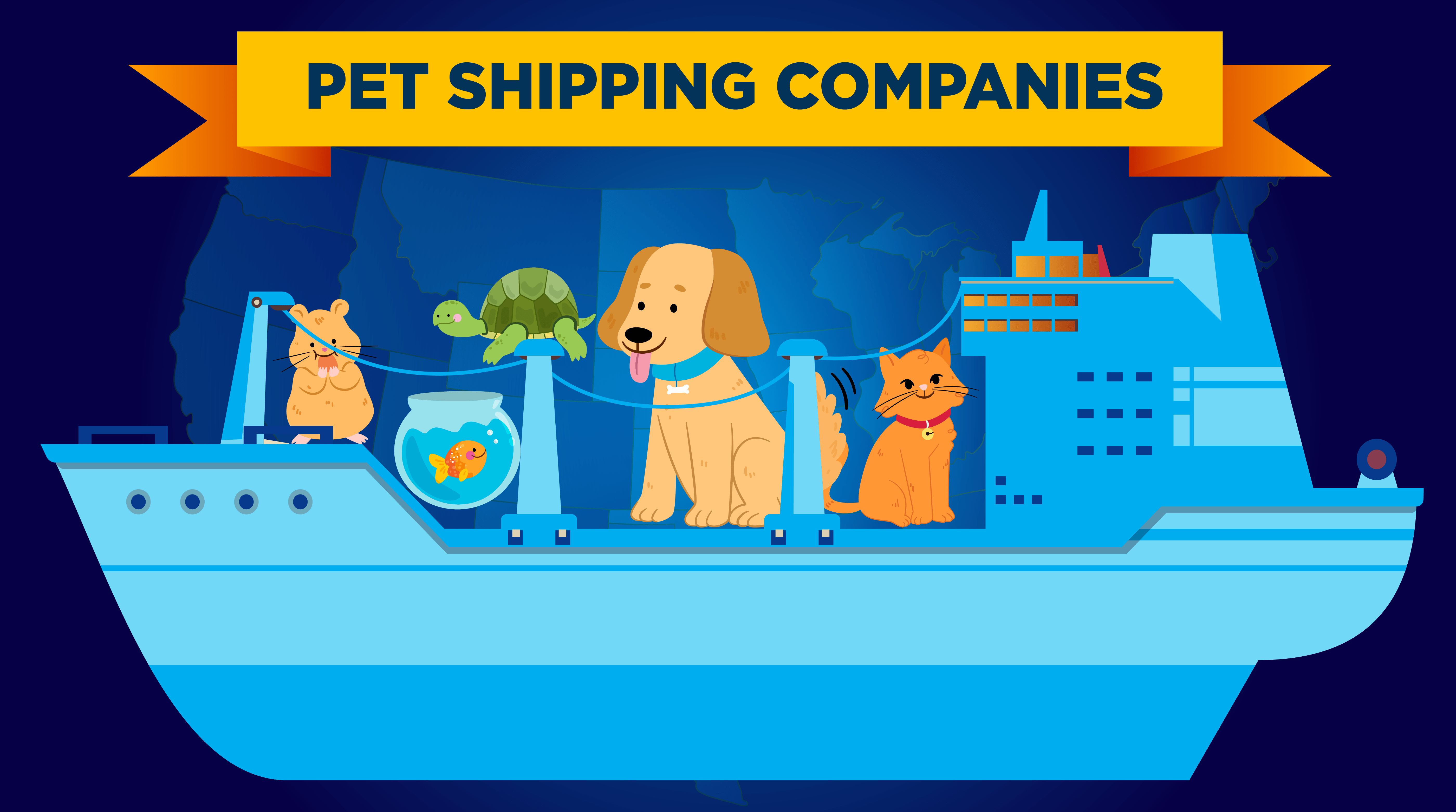 Pet Shipping Companies What You Need To Know moveBuddha