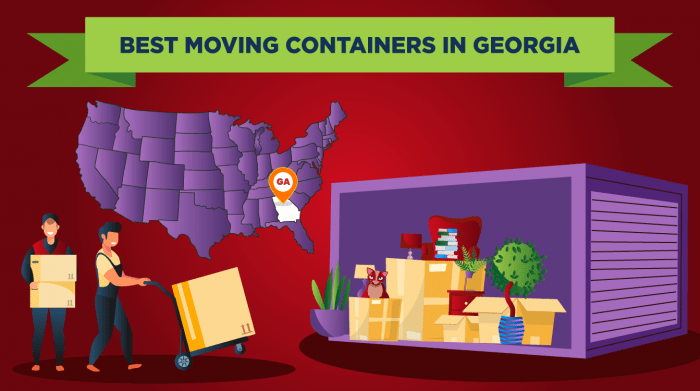 733.-best-moving-containers-in-Georgia.-ai