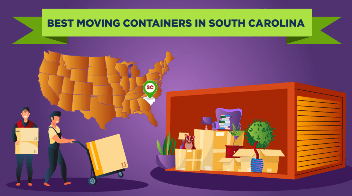 736.-best-moving-containers-in-South-Carolina