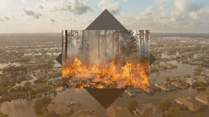movebuddha-nat-disaster-2025